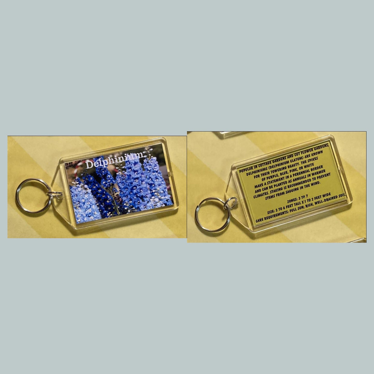 0713 Delphinium Custom Hand Made Keychain