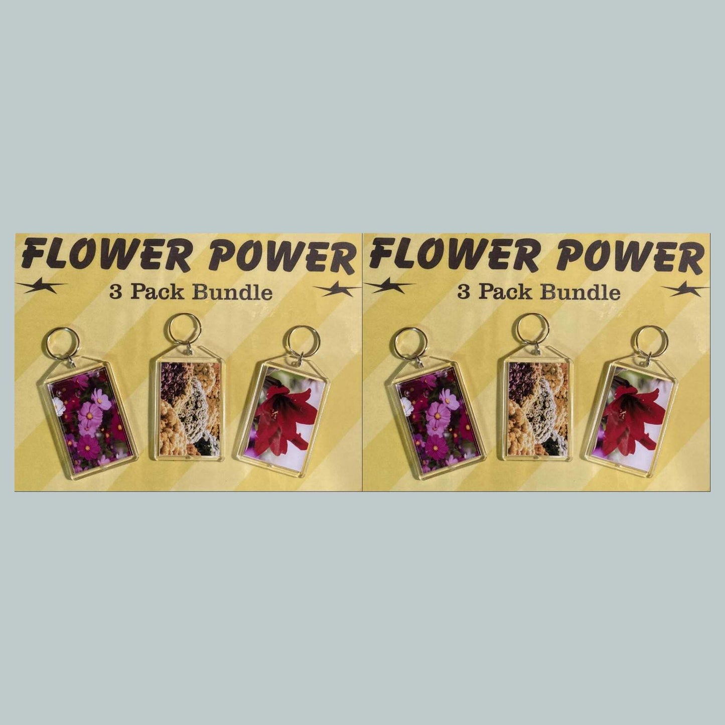 3687B Threefer Bundle Cosmos/Chrysanthemu/Amaryllis Acrylic Keychain MSC KYC