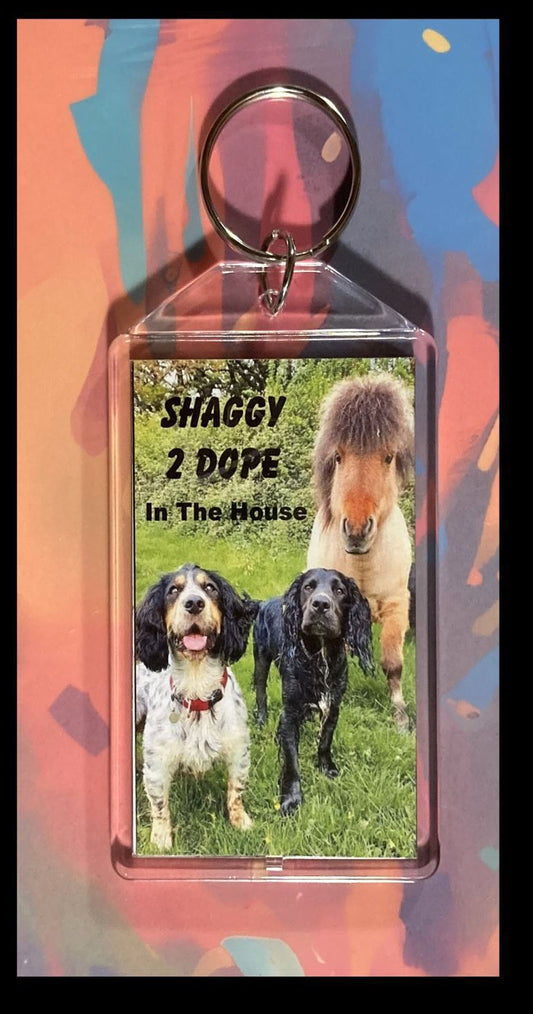 3284 Shaggy 2 Dope Custom Hand Made Keychain - Makes A Great Gift KYC MSC