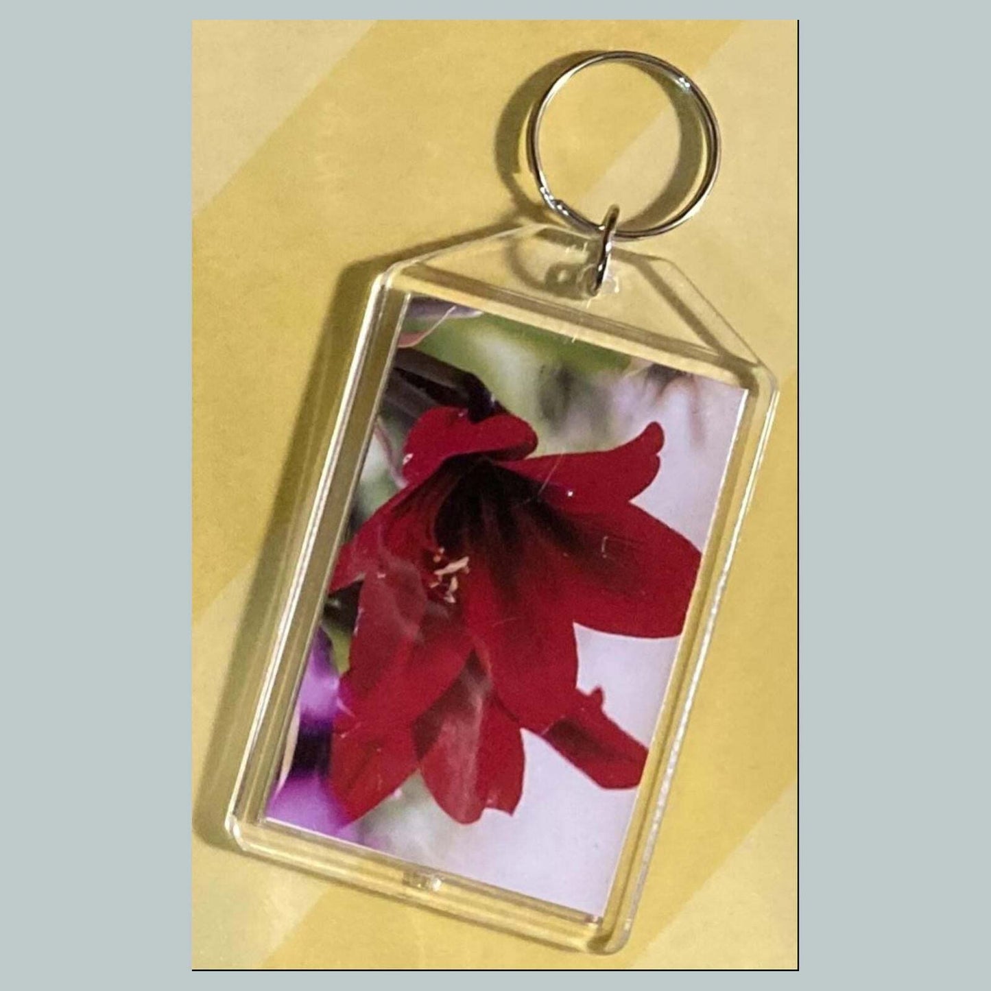 3684 Amaryllis Acrylic Keychain | Floral Keychain | Flower Lover Gift MSC KYC