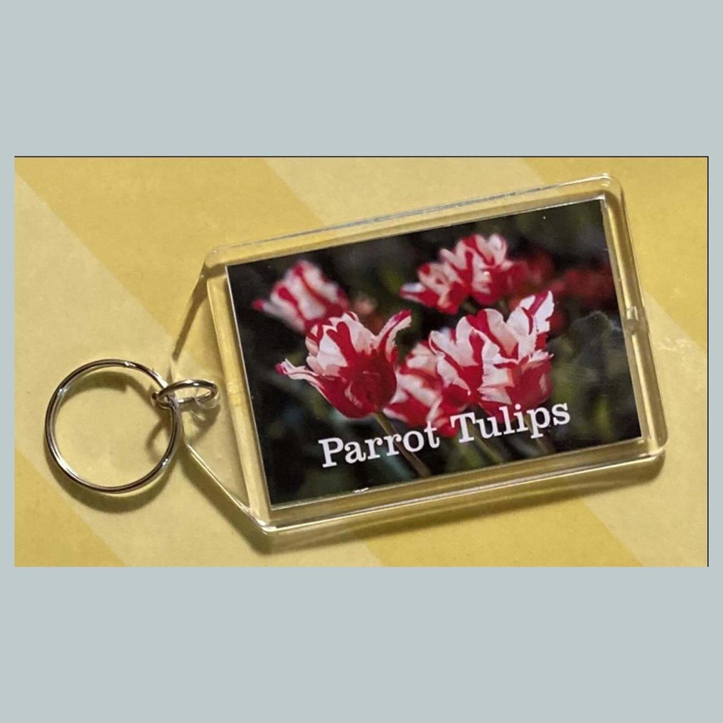 3671 Parrot Tulips Custom Hand Made Keychain MSC KYC