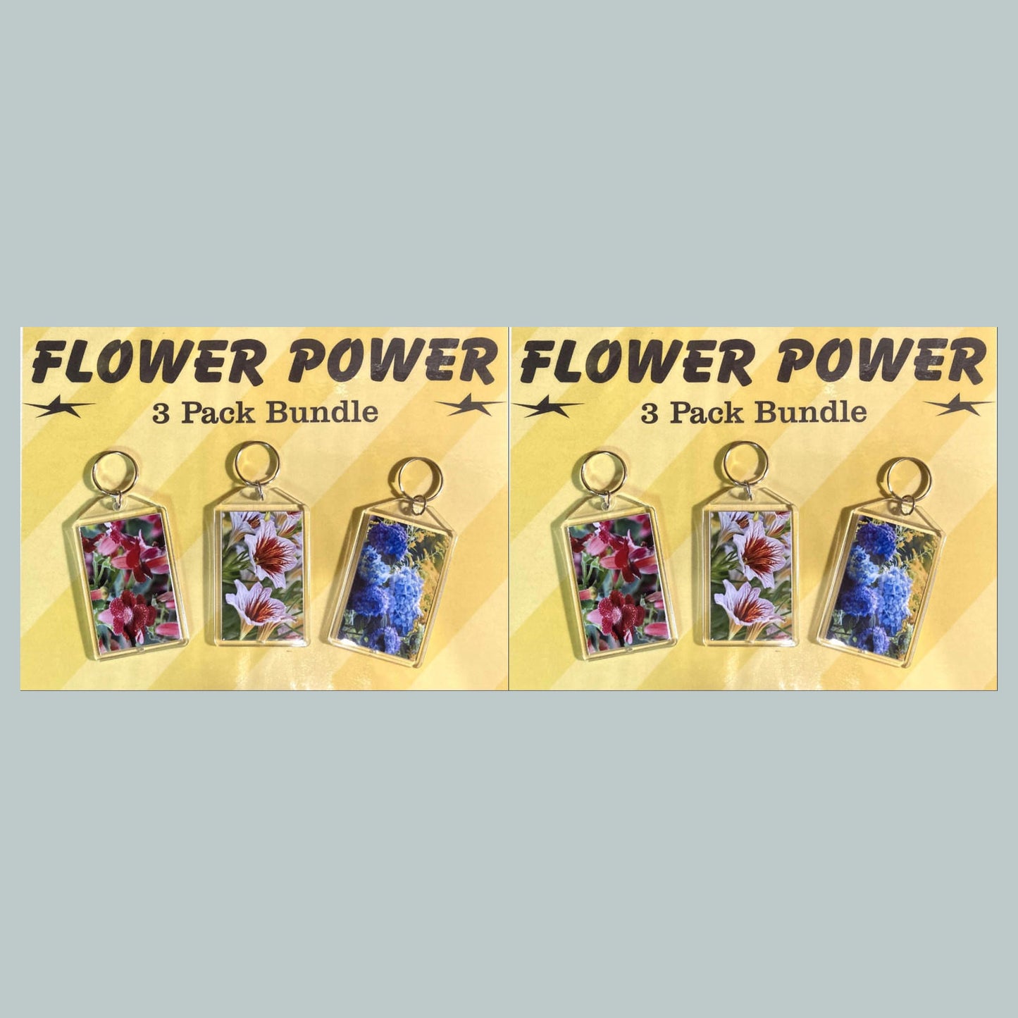 0719B Threefer Bundle Kohleria-Painted Tongue-Hydrangea Acrylic Keychain | Flower Lover Gift | Botanical Purse Charm | Backpack Accessory