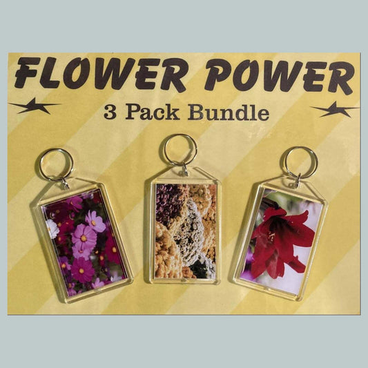 3687B Threefer Bundle Cosmos/Chrysanthemu/Amaryllis Acrylic Keychain MSC KYC