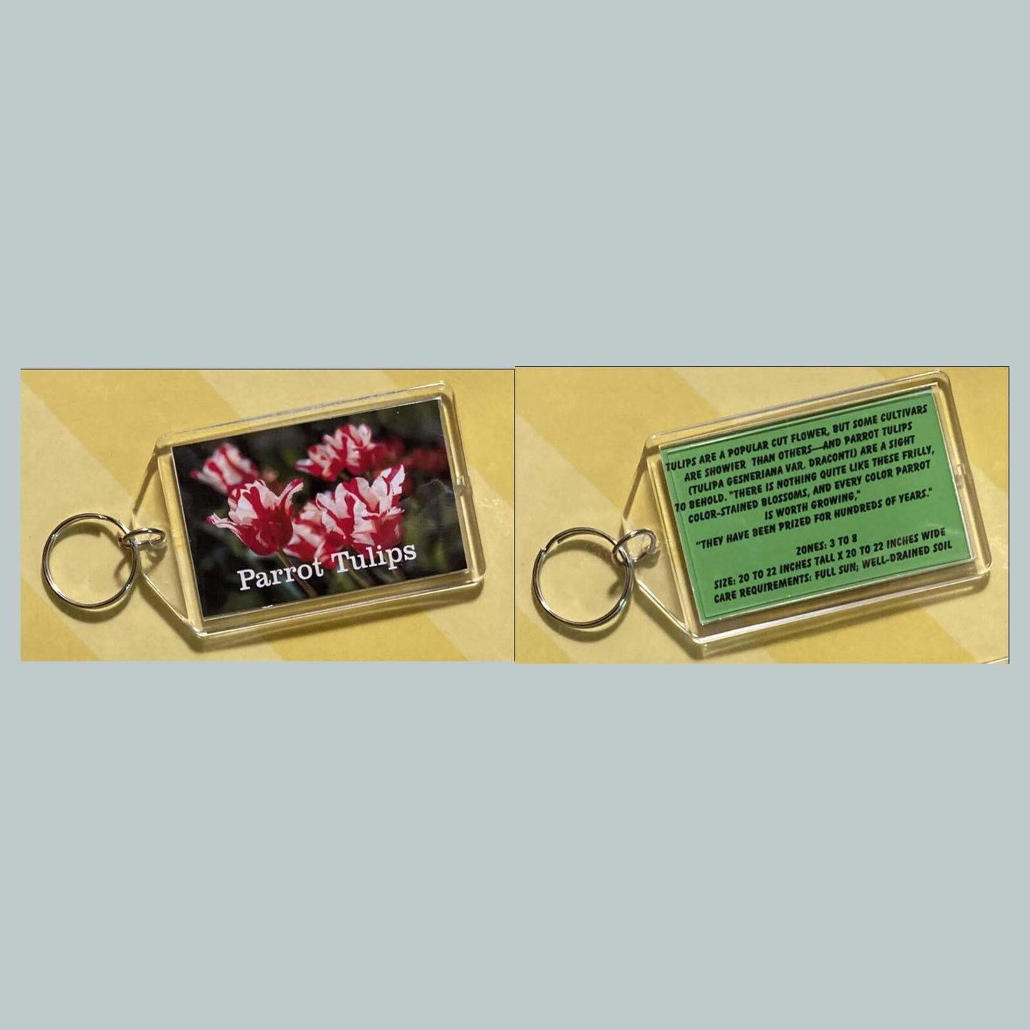 3671 Parrot Tulips Custom Hand Made Keychain MSC KYC