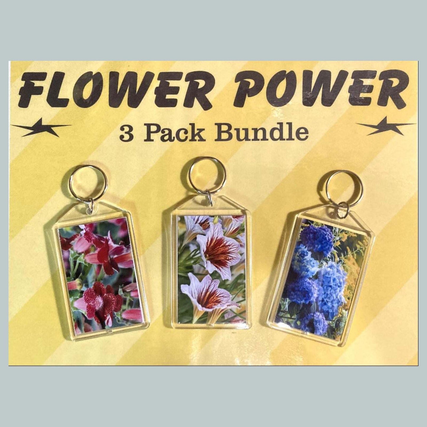 3676B Threefer Bundle Kohleria-Painted Tongue-Hydrangea Acrylic Keychain | MSC KYC
