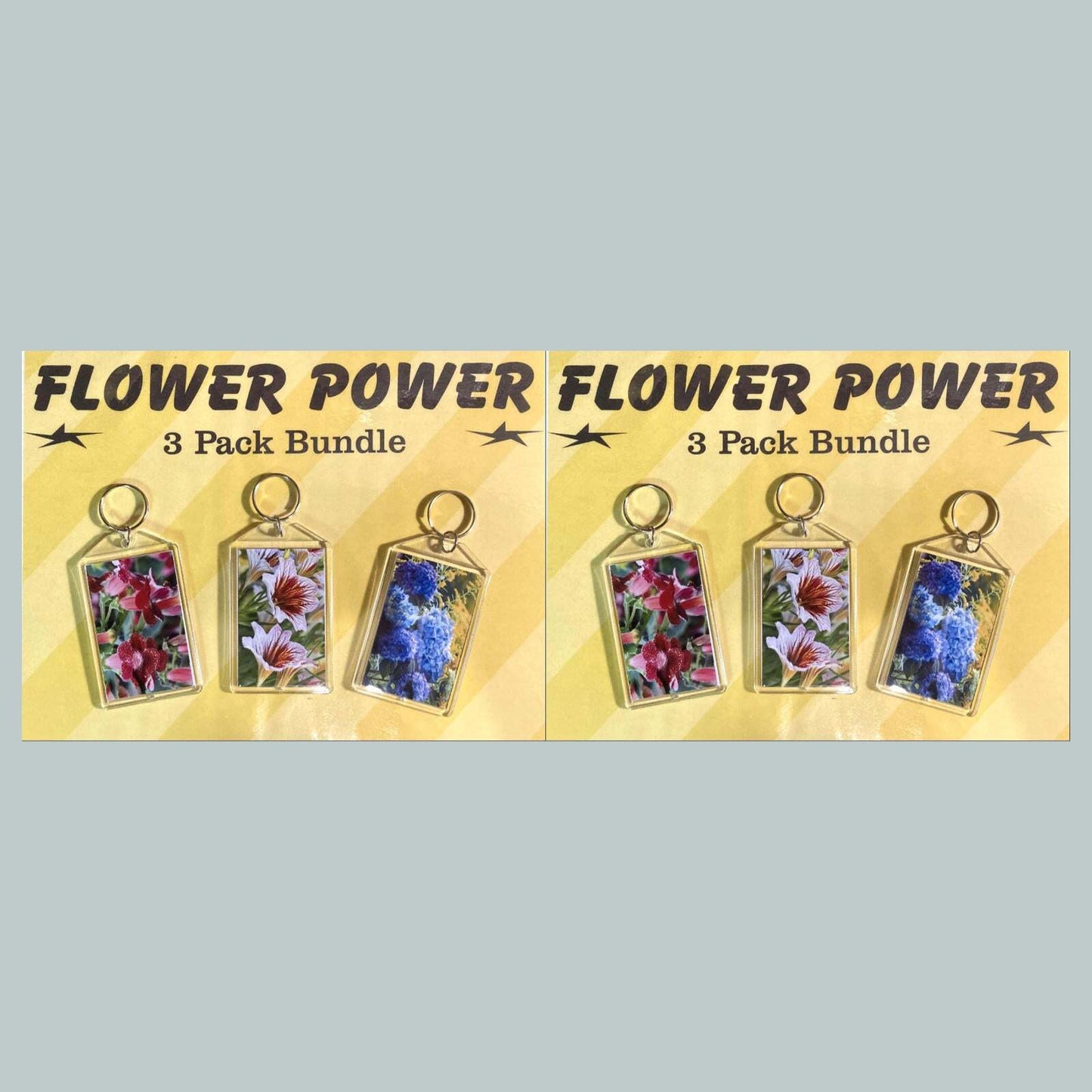 3676B Threefer Bundle Kohleria-Painted Tongue-Hydrangea Acrylic Keychain | MSC KYC