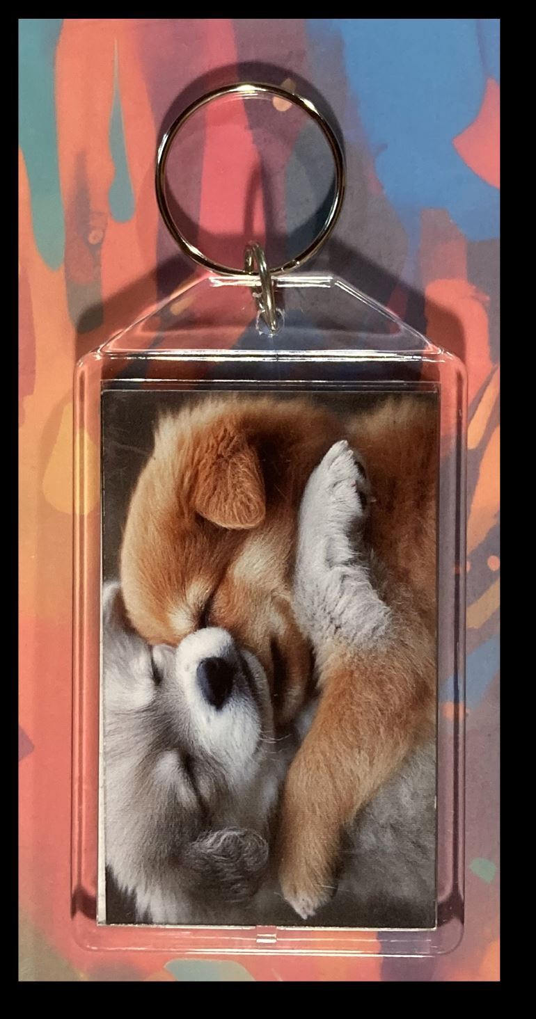 3296 Puppys Cuddling Custom Hand Made Keychain - Makes A Great Gift KYC MSC