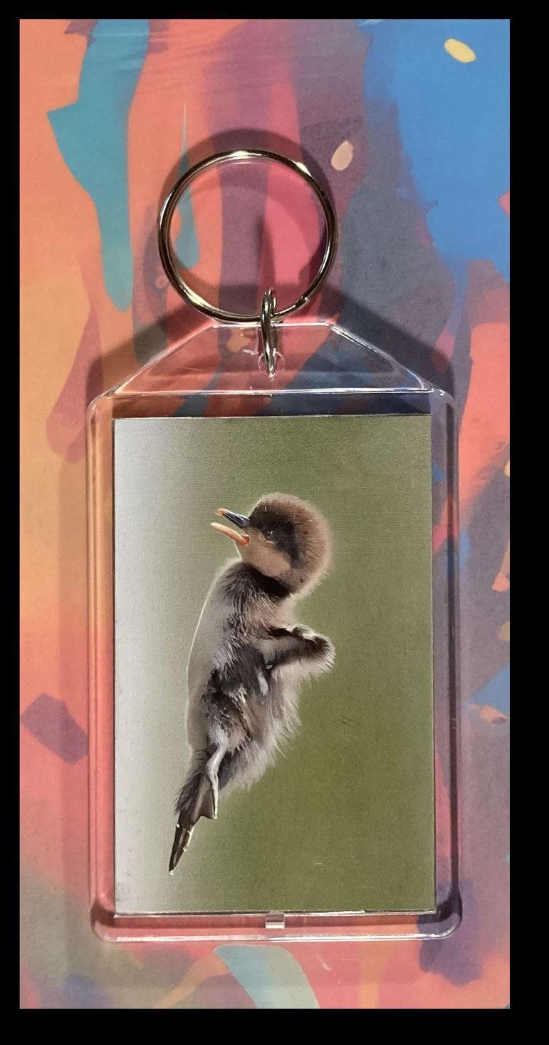 3317 Baby Chick Flying Custom Hand Made Keychain-Makes A Great Gift KYC MSC