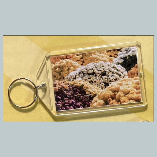 3681 Chrysanthemu Acrylic Keychain | Floral Keychain | Flower Lover Gift MSC KYC