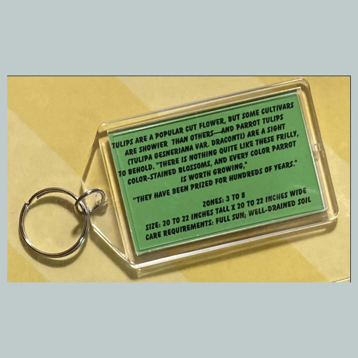 3671 Parrot Tulips Custom Hand Made Keychain MSC KYC