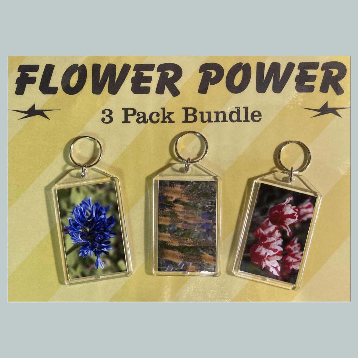 3701B Threefer Bundle Lily of the Nile/Foxtail Lily/Tulipss Acrylic Keychain MSC KYC