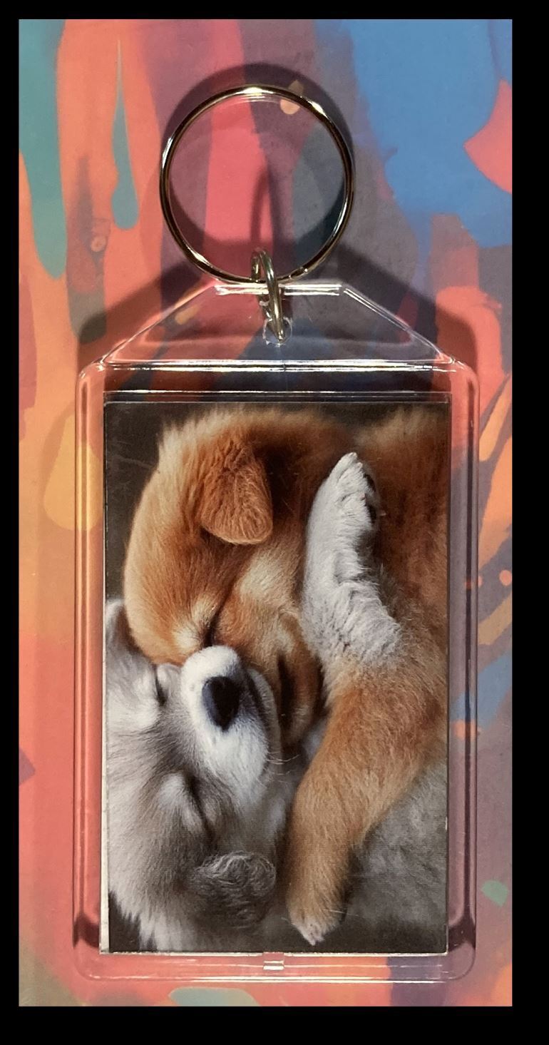 3296 Puppys Cuddling Custom Hand Made Keychain - Makes A Great Gift KYC MSC