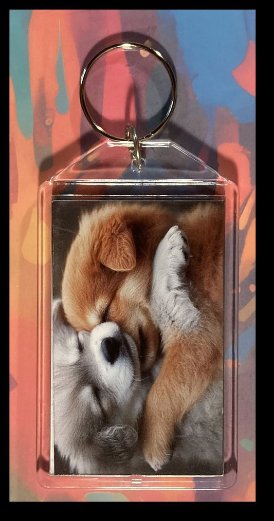 3296 Puppys Cuddling Custom Hand Made Keychain - Makes A Great Gift KYC MSC