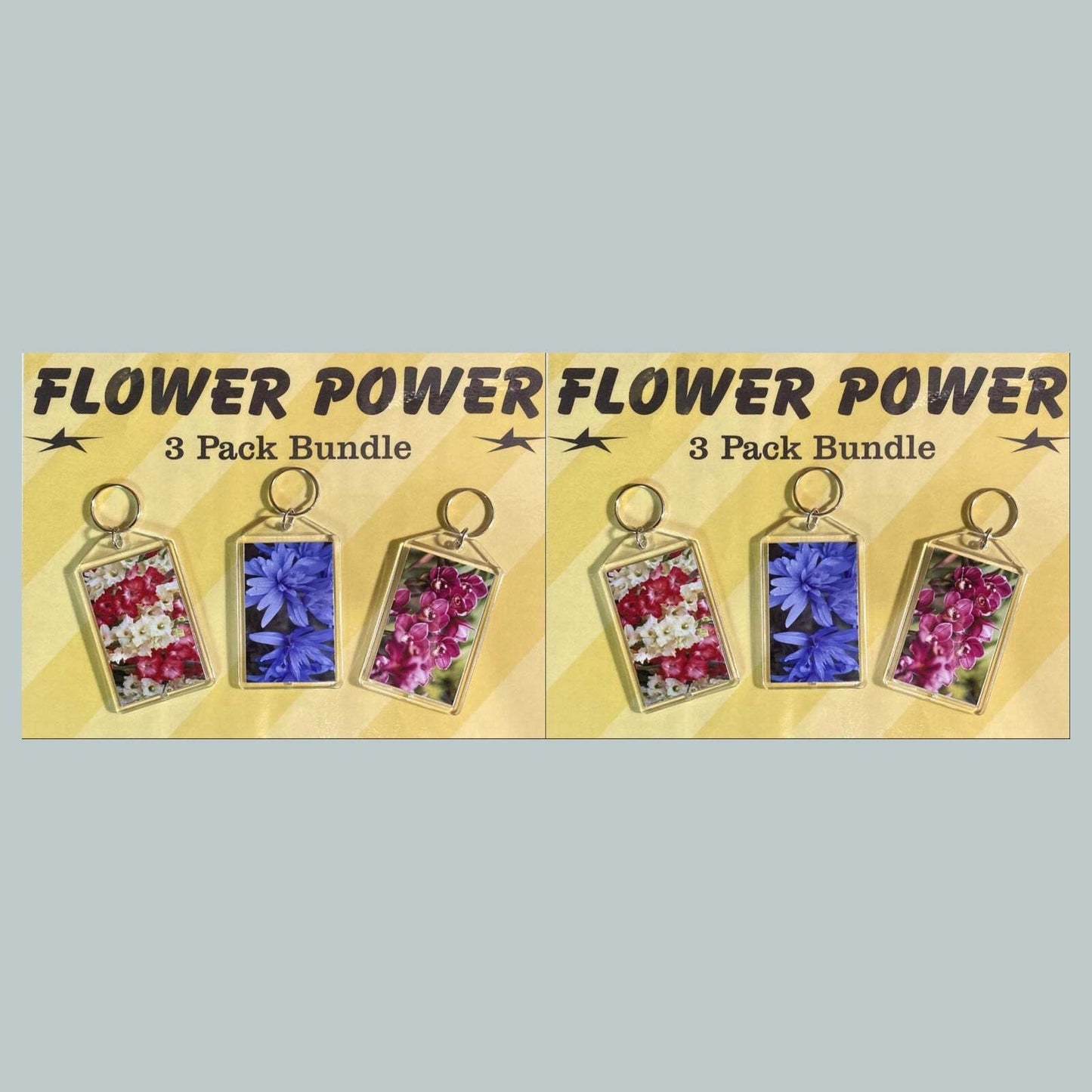 3706B Threefer Bundle Gladiolus/Crocus/Orchids Acrylic Keychain | Great Gift MSC KYC