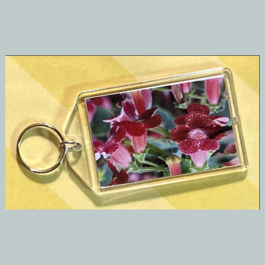 3702 Kohleria Acrylic Keychain | Floral Keychain | Flower Lover Gift MSC KYC