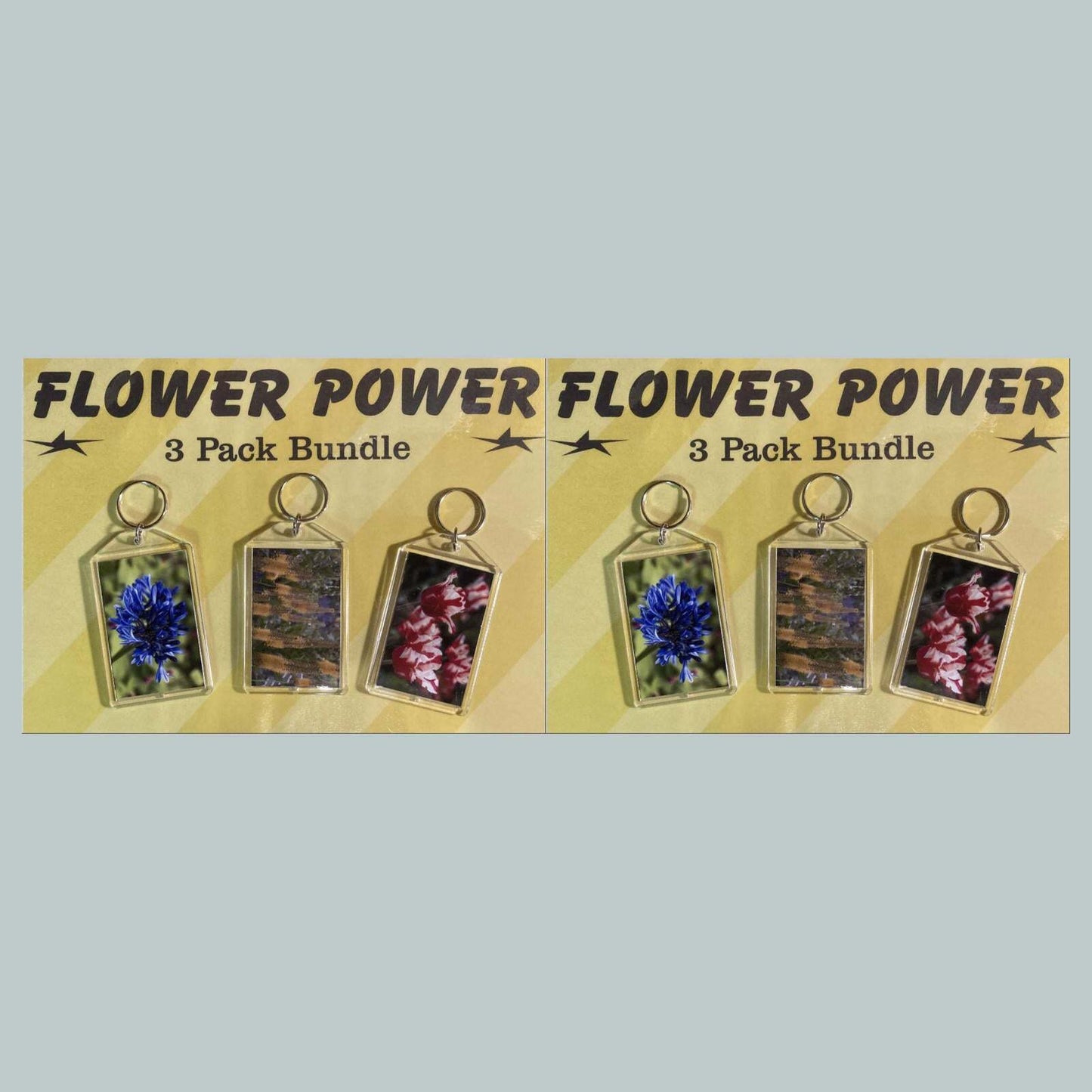 3701B Threefer Bundle Lily of the Nile/Foxtail Lily/Tulipss Acrylic Keychain MSC KYC