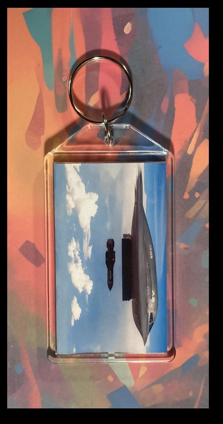 3349 Trump The Execution Of The Plan Custom Hand Made Keychain - A Great Gift KYC MSC